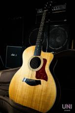 Taylor 214ce  / 2012_10
