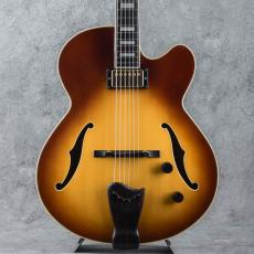 Fender D'Aquisto Elite 90's