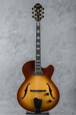 Fender D'Aquisto Elite 90's_2