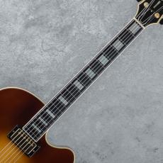 Fender D'Aquisto Elite 90's_6