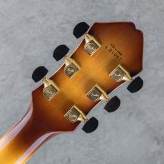 Fender D'Aquisto Elite 90's_9