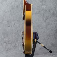 Fender D'Aquisto Elite 90's_10