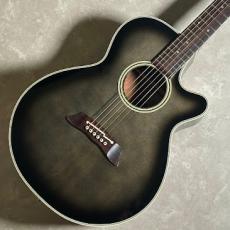 Takamine PT106