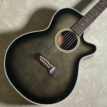 Takamine PT106