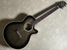 Takamine PT106_2