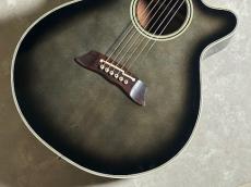Takamine PT106_3