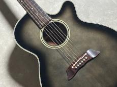 Takamine PT106_4