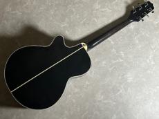 Takamine PT106_8