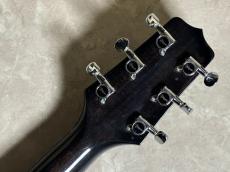 Takamine PT106_10