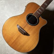 YAMAHA APX900