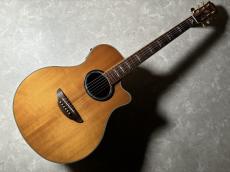 YAMAHA APX900_2