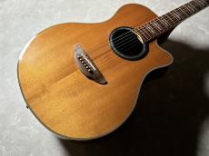 YAMAHA APX900_3