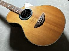 YAMAHA APX900_4