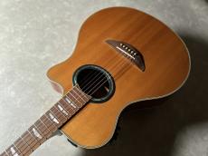 YAMAHA APX900_5