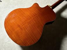 YAMAHA APX900_8