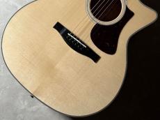 Eastman AC322CE 【現物写真】_3