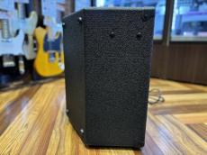 Ampeg BA-110v2_5