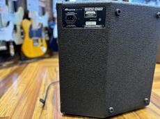 Ampeg BA-110v2_7