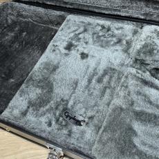 Epiphone Hard  Case For Moderne_4