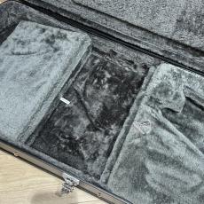 Epiphone Hard  Case For Moderne_5