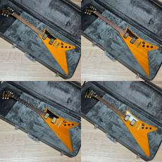 Epiphone Hard  Case For Moderne_6