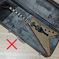 Epiphone Hard  Case For Moderne_7