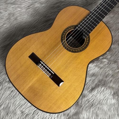 君島聡 STELLA-MR/杉/マダガスカルローズウッド【島村楽器限定仕様】