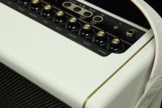 Positive Grid Spark 2 Pearl【高品質デジタルアンプ】【出力:50W,スピーカー:4"×2】【USED/付属品完備】_6