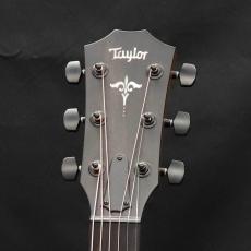 Taylor LTD 314ce K/TRS SEB_6