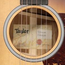 Taylor LTD 314ce K/TRS SEB_10