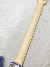 FUJIGEN BCTE100RBD MBL【H240070】【3.61kg】_8