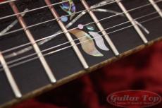 Ibanez j.custom RG8540ZD BX '14_6