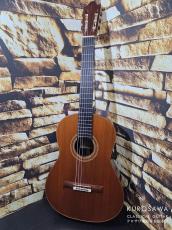 Daniel Friedrich Daniel Friedrich ダニエル・フレドリッシュ 1981年製 松・ローズウッド 【日本総本店2F在庫品】_4