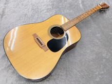 Martin D-18 2009