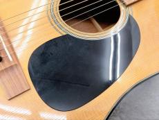 Martin D-18 2009_2