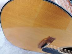 Martin D-18 2009_3