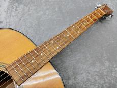 Martin D-18 2009_8