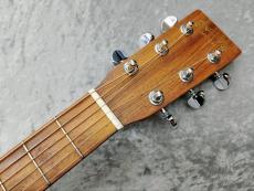 Martin D-18 2009_9
