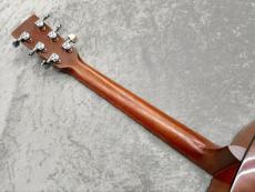Martin D-18 2009_10