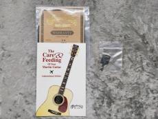 Martin D-18 2009_14