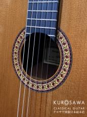 Antonio Sanchez [アントニオ・サンチェス] 2011年製 Model:Profesor-4 Special Cedar【日本総本店2F 在庫品】_3