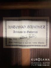 Antonio Sanchez [アントニオ・サンチェス] 2011年製 Model:Profesor-4 Special Cedar【日本総本店2F 在庫品】_10