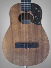 KIGE Work Shop Mini Tenor Simple_5