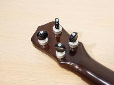 Antar African Blackwood #2052875_5