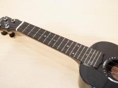 Antar African Blackwood #2052875_6