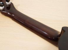 Antar African Blackwood #2052875_7