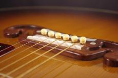 Gibson SJ-200 TV_6