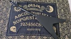 Gibson Gibson Flying V 1978年製 Kirk Hammett Style MOD_12