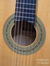 Michael Menkevich マイケル・メンケビッチ 2000年製 Torres FE17 松・メイプル【日本総本店2F 在庫品】_3