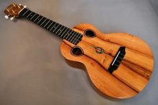 G String T4 DH Tenor【USED】_2